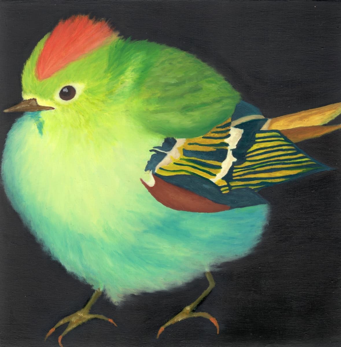 The King of Ruby Kinglets